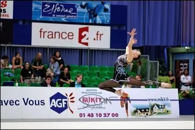 Comment s'appelle le saut reprsent sur l'image ?