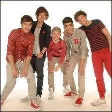 Comment s'appellent les membres de One Direction ?