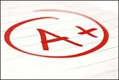 Quelle note a obtenue Marion  ses partielles ?