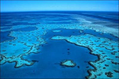 Dans quel pays se situe le site de plonge de la grande barrire de corail ?