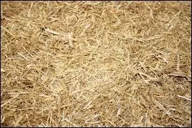 Qu'es-ce qu'une litire en bateau ?