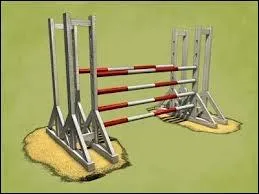 Quel est cet obstacle ?