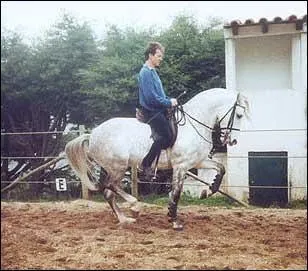 Quelle est cette race ?