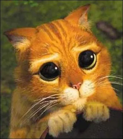 Tout enfant ou animal domestique est par dfinition...