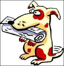 Chassez l'intrus ... . .