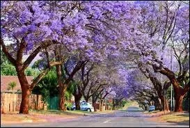 S'exprimait avec emphase