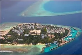 Elle peut tre de fond mais parfois elle est fine.