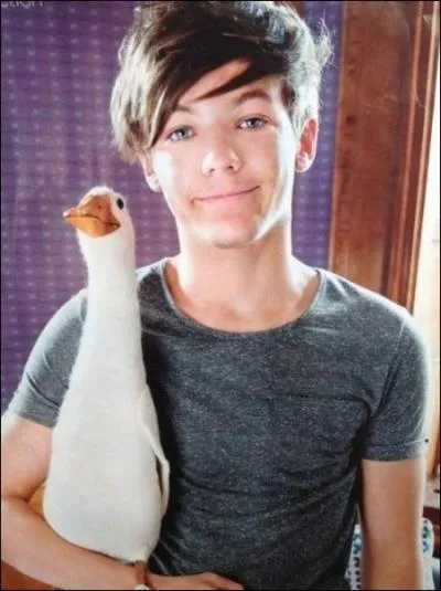 Comment s'appelle le pigeon de Louis ?