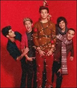 Combien de soeur(s) Louis a-t-il ?