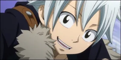 Quel est le nom du héros de "Rave Master" ?