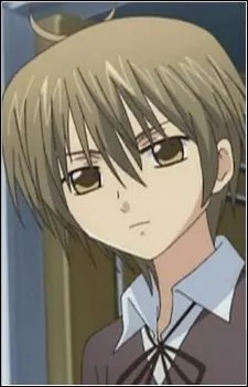 Pourquoi Hikari se fait-elle inviter  aller  un bal avec Kei par le petit frre de celui-ci (Sui) ?