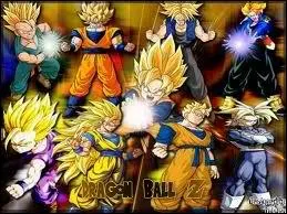 Qui sont les derniers Sayen ?