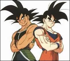 Combien de fois est mort Songoku ?