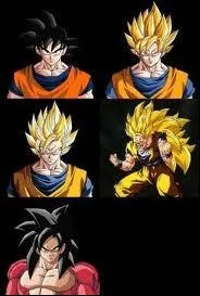 Combien de formes peut avoir Songoku en  super sayens  ?