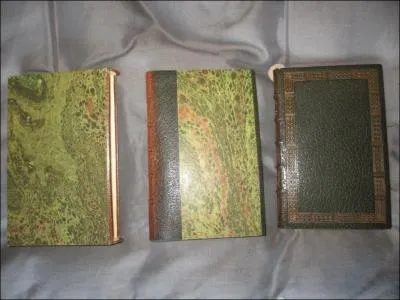 Que voyons-nous ici ?