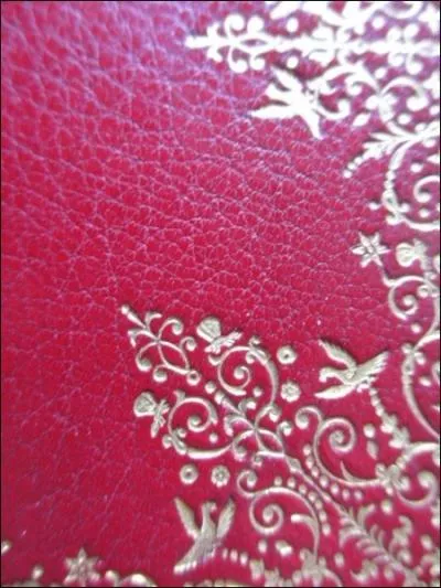 Comment s'appelle ce type de dorure ?