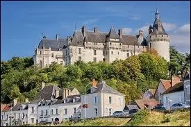 A Chaumont-sur-Loire, les habitants portent le gentil ...