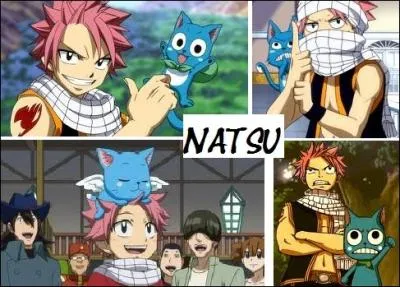 Comment est appelé l'amour entre Happy et Natsu ?