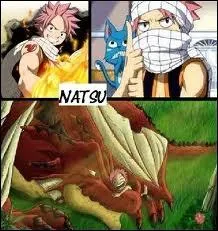 Quels étaient les liens d'amour qui unissaient Ignir et Natsu ?