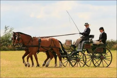 Comment s'appelle l'quipement utilis pour faire de l'attelage ?