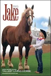 Comment s'appelle le plus grand cheval du monde ?