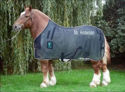 Ce cheval est-il prt pour aller en van ?