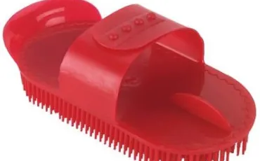 Quiz Brosses