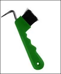 Quel est cet  accessoire  qui sert  panser le cheval ?