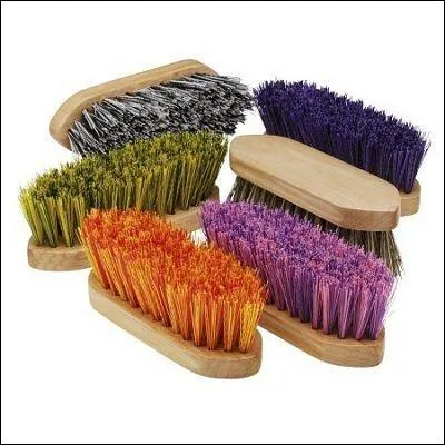 Quelle est cette brosse ?