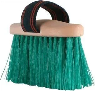 Quelle est cette brosse ?