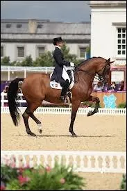 Quelle est cette discipline ?