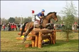 Quelle est cette discipline ?