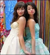 Qui joue dans  Princess Protection Program  ?