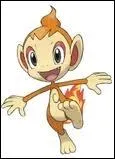 Qui est ce Pokmon feu qui ressemble  un singe ?