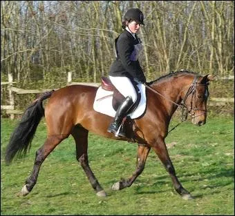 Quelle est la couleur de sa robe ?