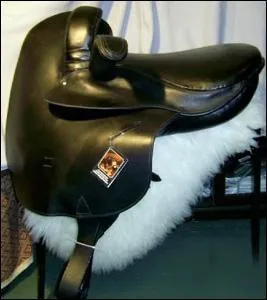 Quelle est cette selle ?