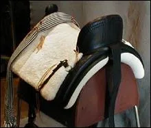 Quelle est cette selle ?