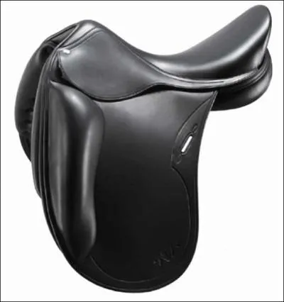 Quelle est cette selle ?