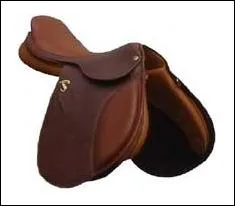 Quelle est cette selle ?