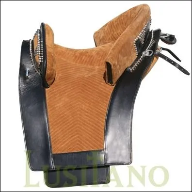 Quelle est cette selle ?