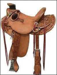 Quelle est cette selle ?