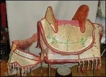 Quelle est cette selle ?