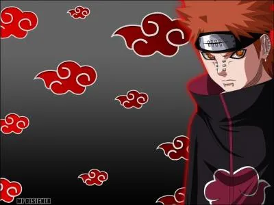Combien d'objectifs successifs a l'akatsuki ?