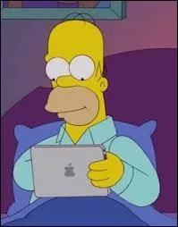 Que gagne Homer lors d'une tombola alors qu'il vient de passer le pire jour de sa vie ?