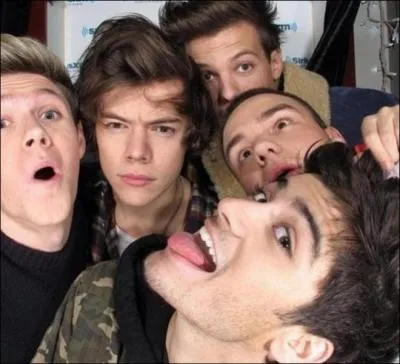 Comment s'appelle la soeur de Harry ?