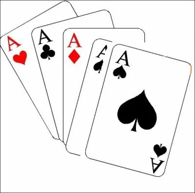 Rappeur  paradisiaque  qui, ayant fait  le tour de la question  se voit proposer de participer  la tourne des Enfoirs et y participe chaque anne.