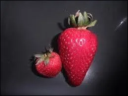 Que signifie l'expression  aller aux fraises  ?