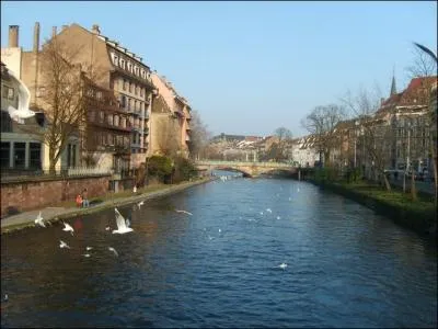 Un affluent du Rhin traverse la ville. Quel est son nom ?
