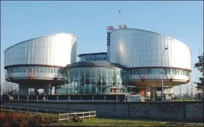 Strasbourg abrite le sige de plusieurs institutions europennes. Parmi les principales il y a le Conseil de l'Europe, le Parlement europen, mais aussi :