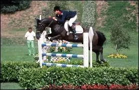 Qui est ce cheval connu ?